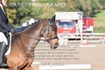BPP_8085