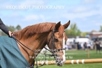BPP_6129