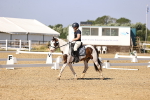 SBM_003047