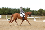 SBM_007561