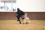 SBM_001037
