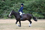 WJ7_1029