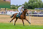 170826-Race 2-Harrys Pop-9187