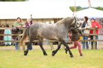 SBM_04153