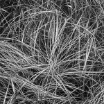 BLACK AND WHITE portfolio