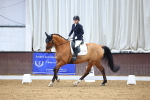 SBM_007241
