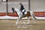 BPP_8623