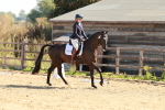SBM_009951