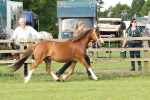 SBM_00603