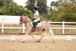 SBM_006421