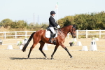 SBM_016909