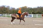 SBM_000825