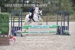 BPP_6561