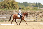 SBM_002919