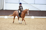 SBM_001042