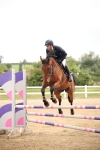 Class 2 - Senior British Novice - 90cm Open 1st Rd portfolio