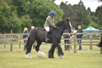 SBM_15990