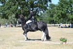 WJ7_0911
