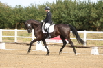 SBM_008236