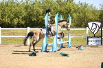SBM_000663