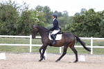 SBM_016880