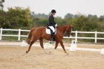 SBM_01564