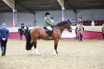 SBM_03611