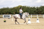 SBM_010192