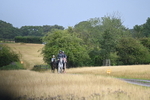 WJ6_1650