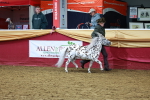 SBM_16015