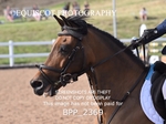 BPP_2369