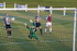 McIntosh scores