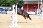 Pendarves Summer Series Showjumping 25th May 2025 portfolio