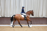 SBM_005356
