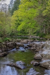 River Llugwy