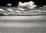 Ploughed and Planted