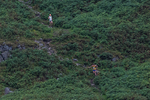 Arnison Crag-25