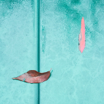 HOOD DETAILS, NOVEMBER 2018