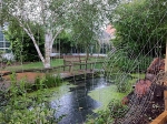 Habitat Pond