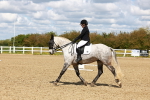 SBM_000557