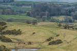 Helm Hill -356
