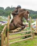 Dunblane show-509