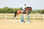 SBM_000731