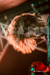 To the Woods-207