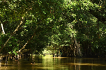Manango river
