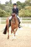 SBM_020214