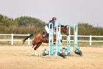 SBM_001442