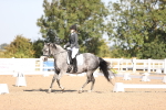 SBM_01734