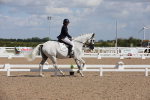 SBM_03923