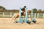 SBM_002955